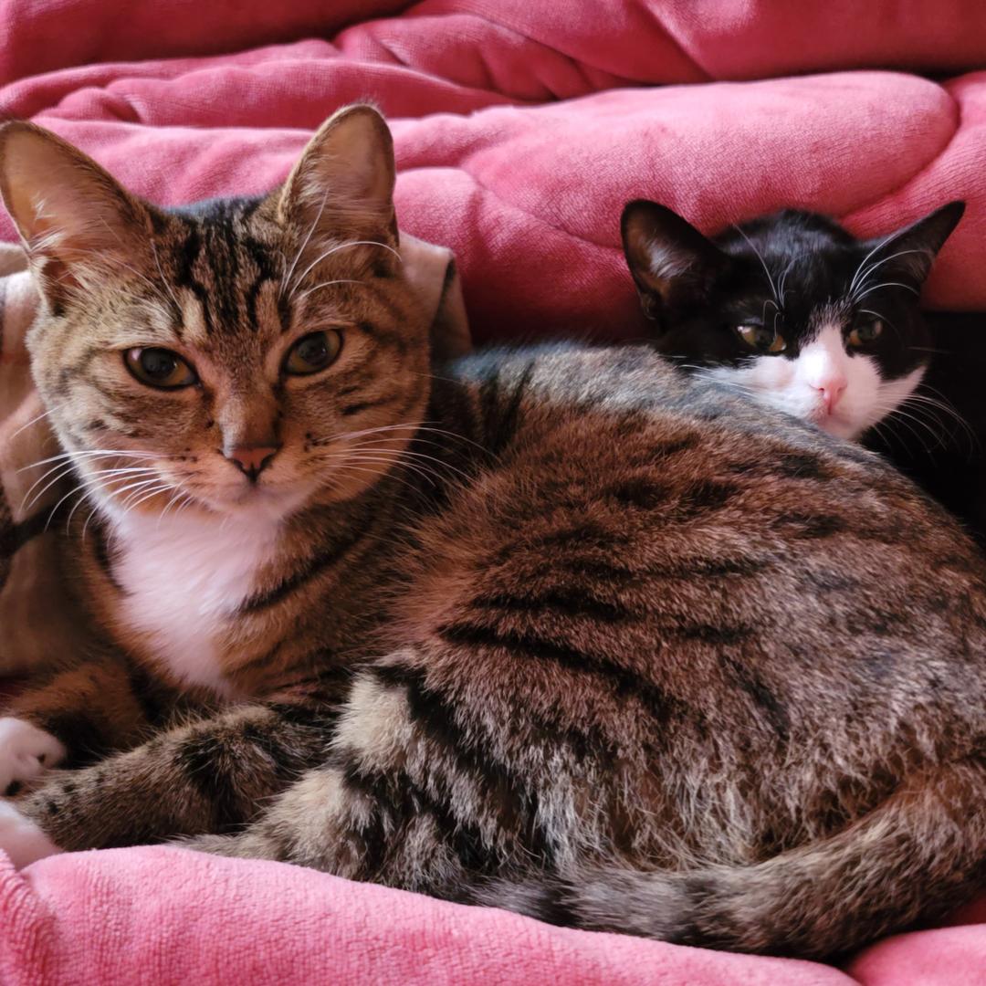 丰隆粮仓合作社