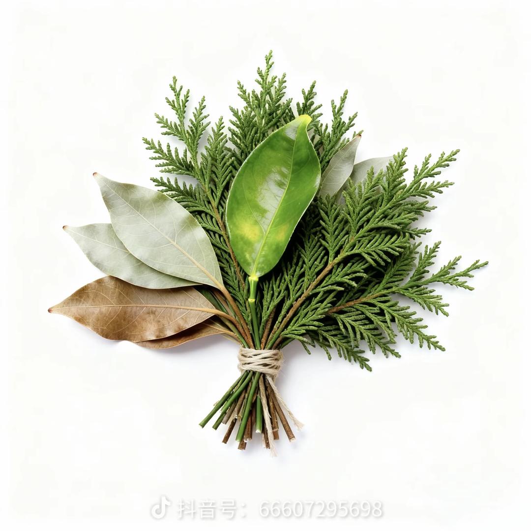举个🌰子^