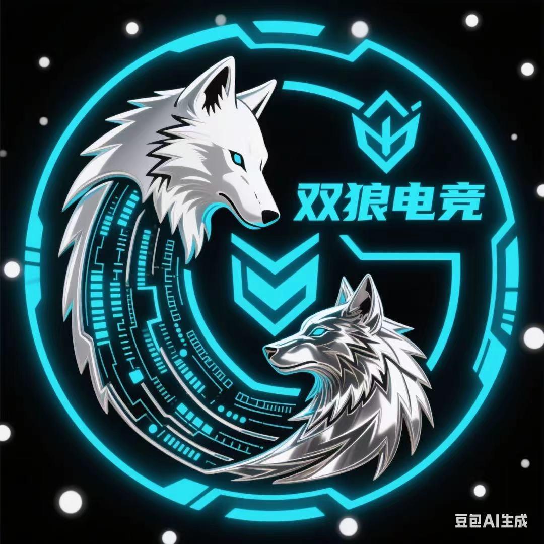 双狼电竞