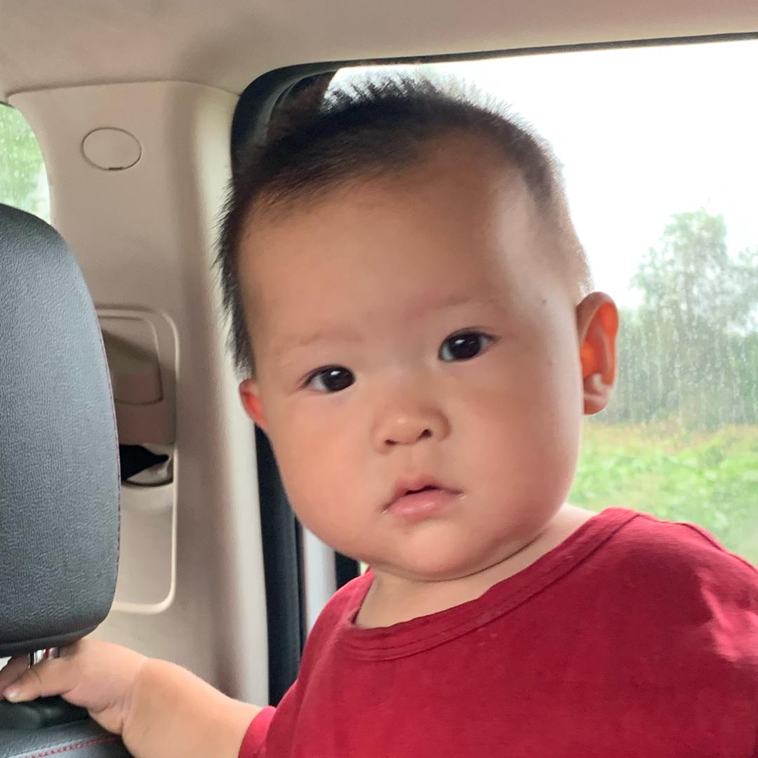 随心所欲