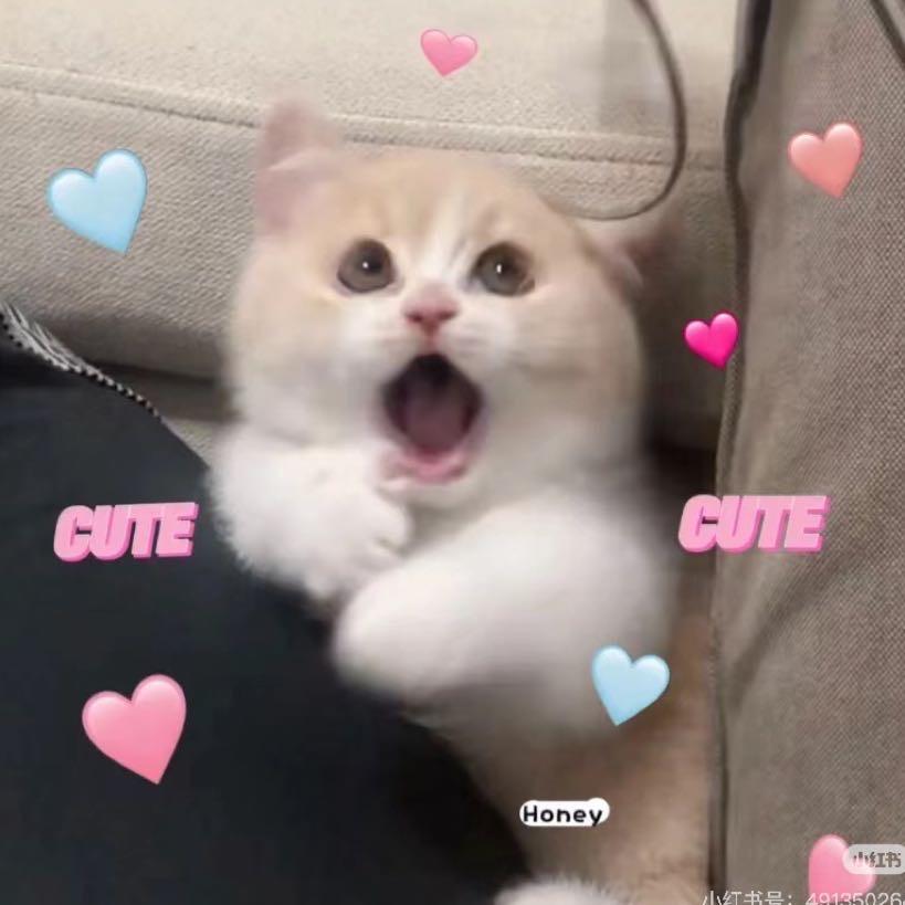 💙L。