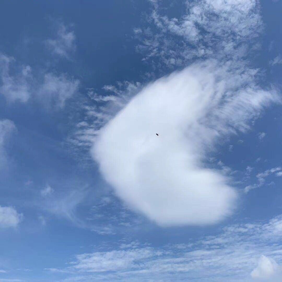 给大家拜个早年🐎