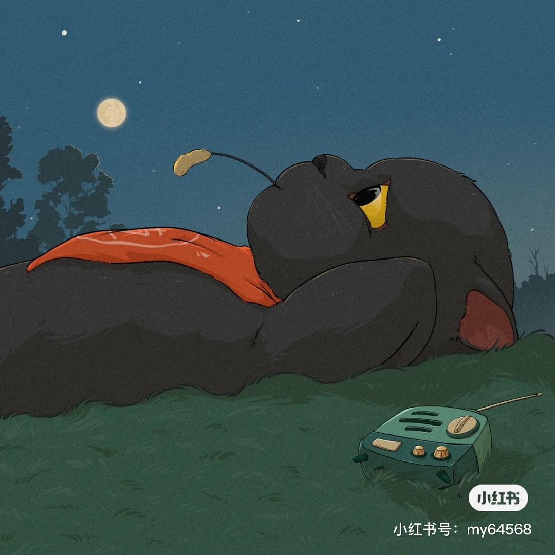 栗子吖