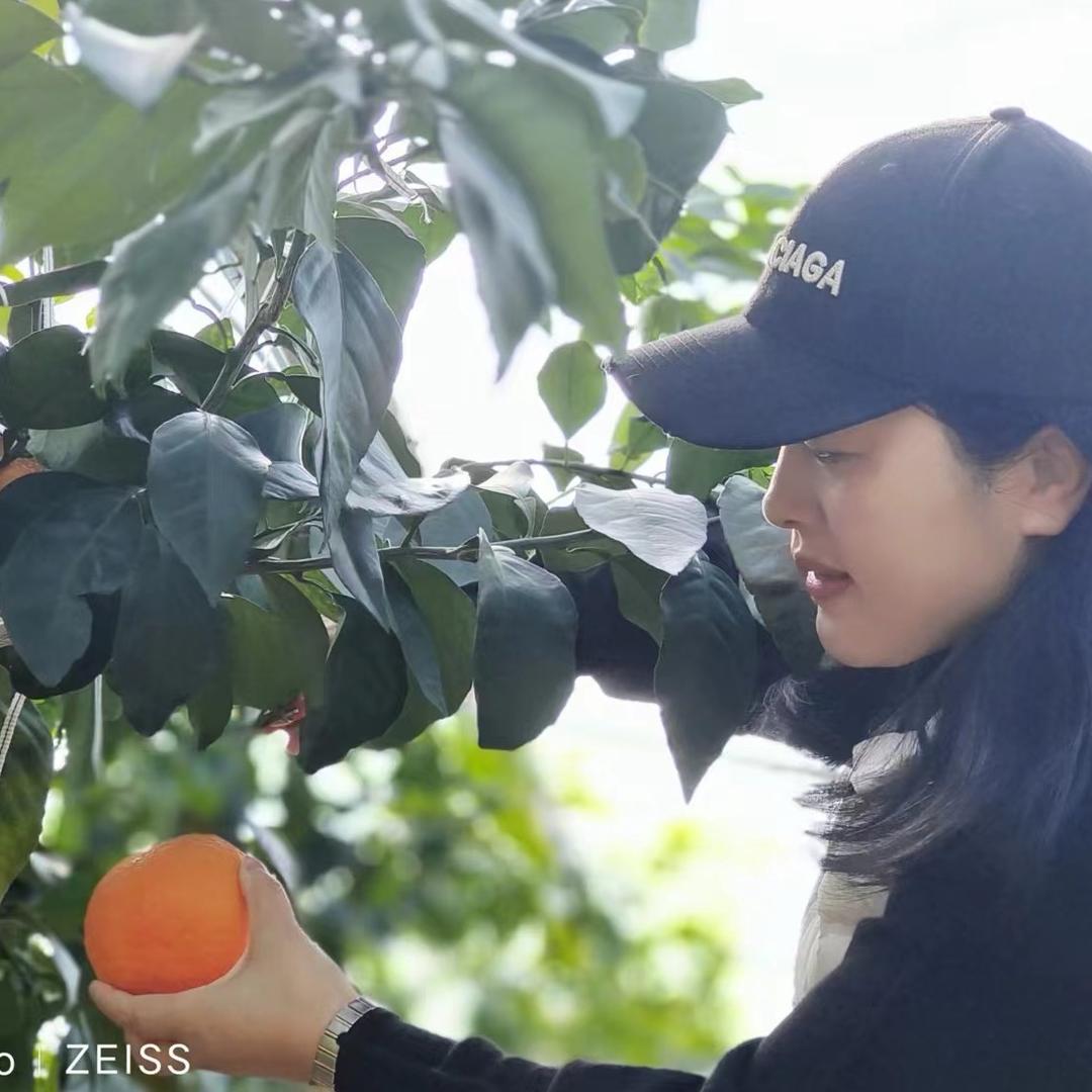 象山定塘金沃果园