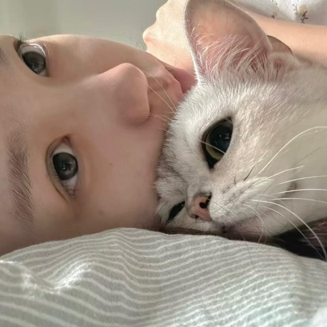 懒懒＾
