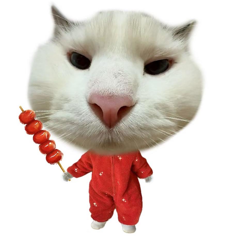 有未来