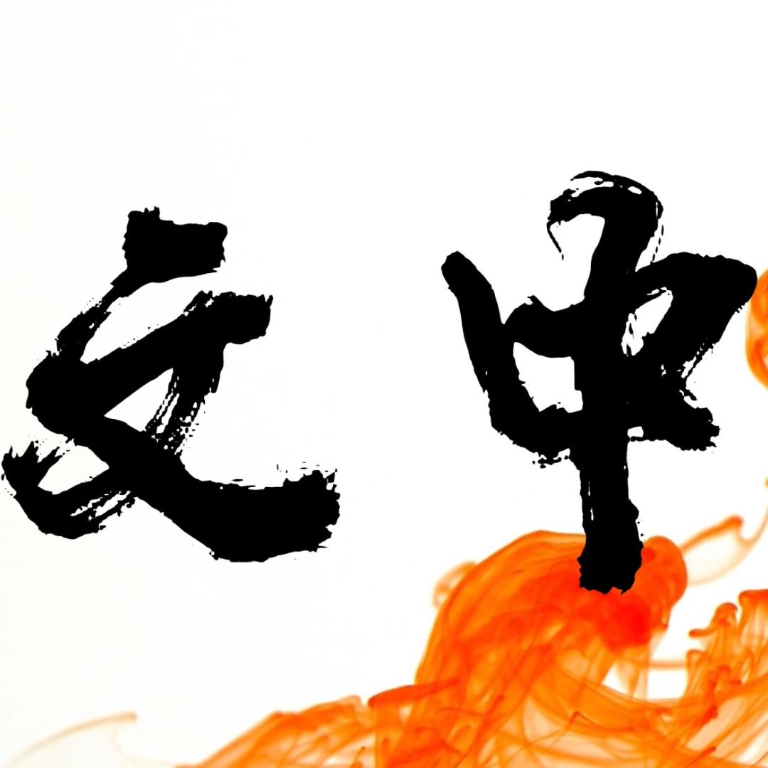 文中成语