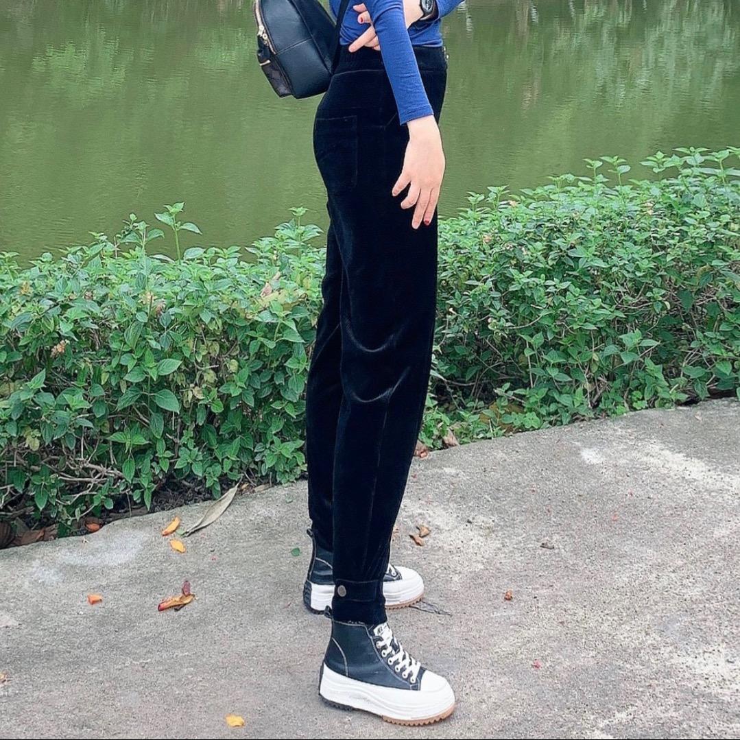 毛毛虫