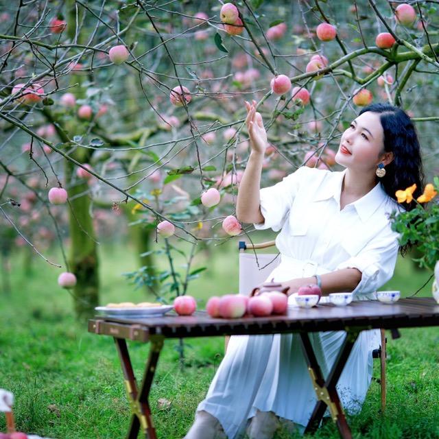 梅子姐姐