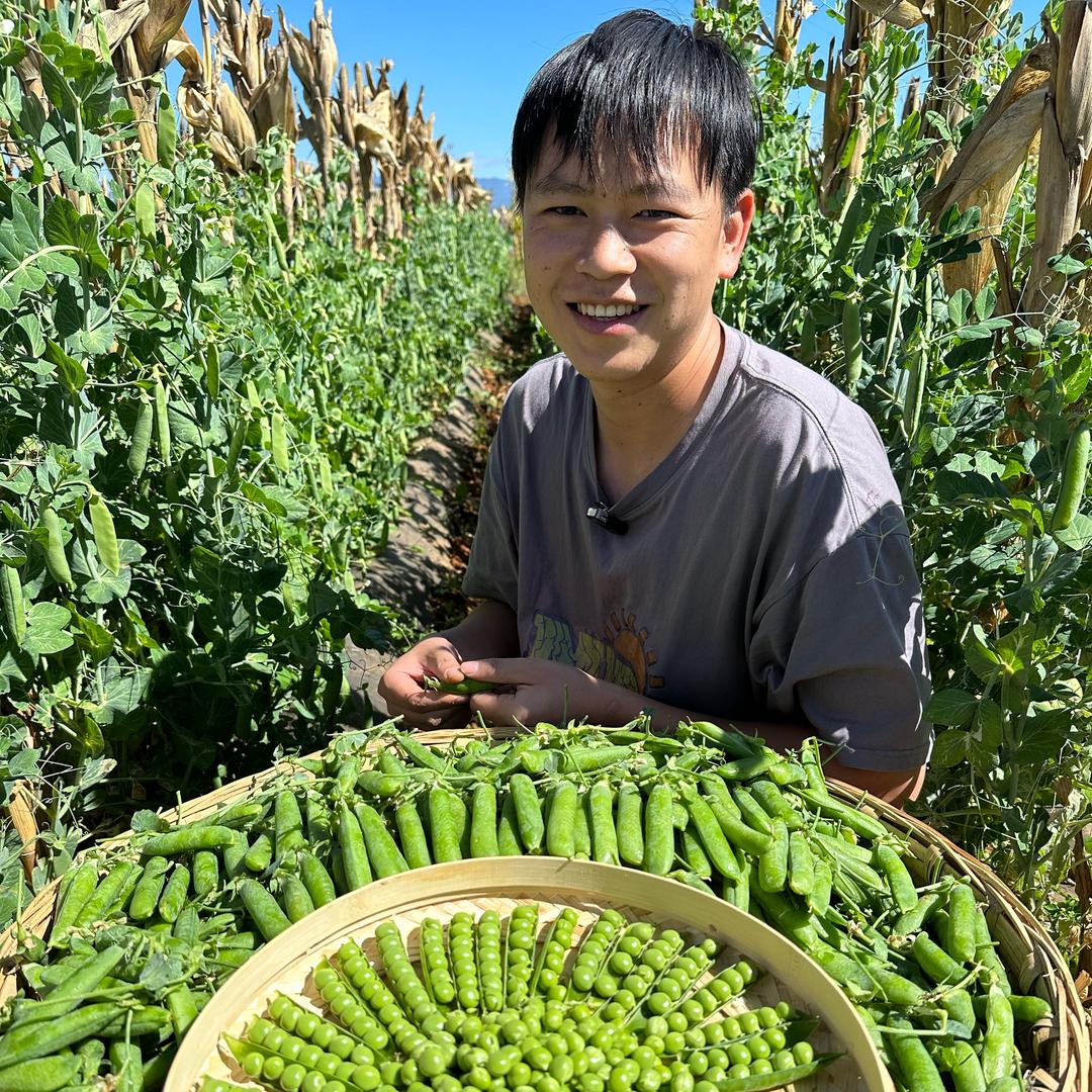 阳光里果蔬