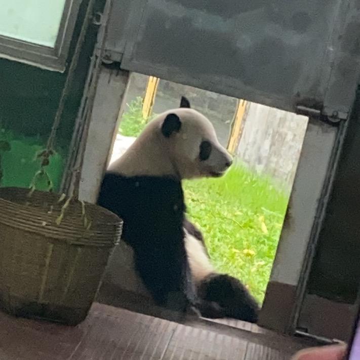 有趣的灵魂万里挑一✧٩(ˊωˋ*)و✧