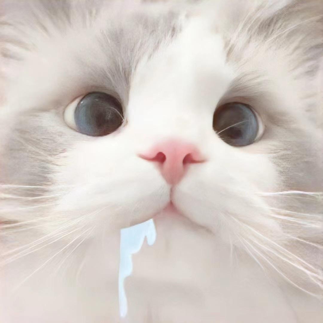 苏D卡戴珊（苏E版