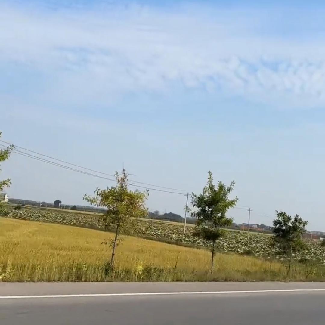 凯文鞋行