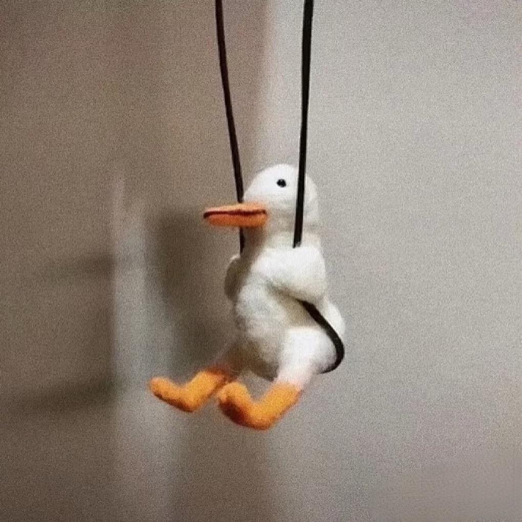 𝙁𝙧𝙚𝙚𝙙𝙤𝙢.