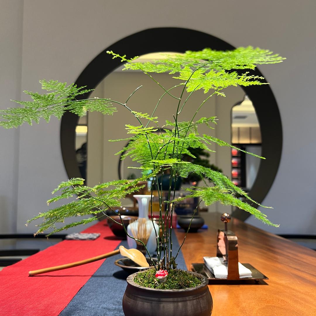 路过的风景