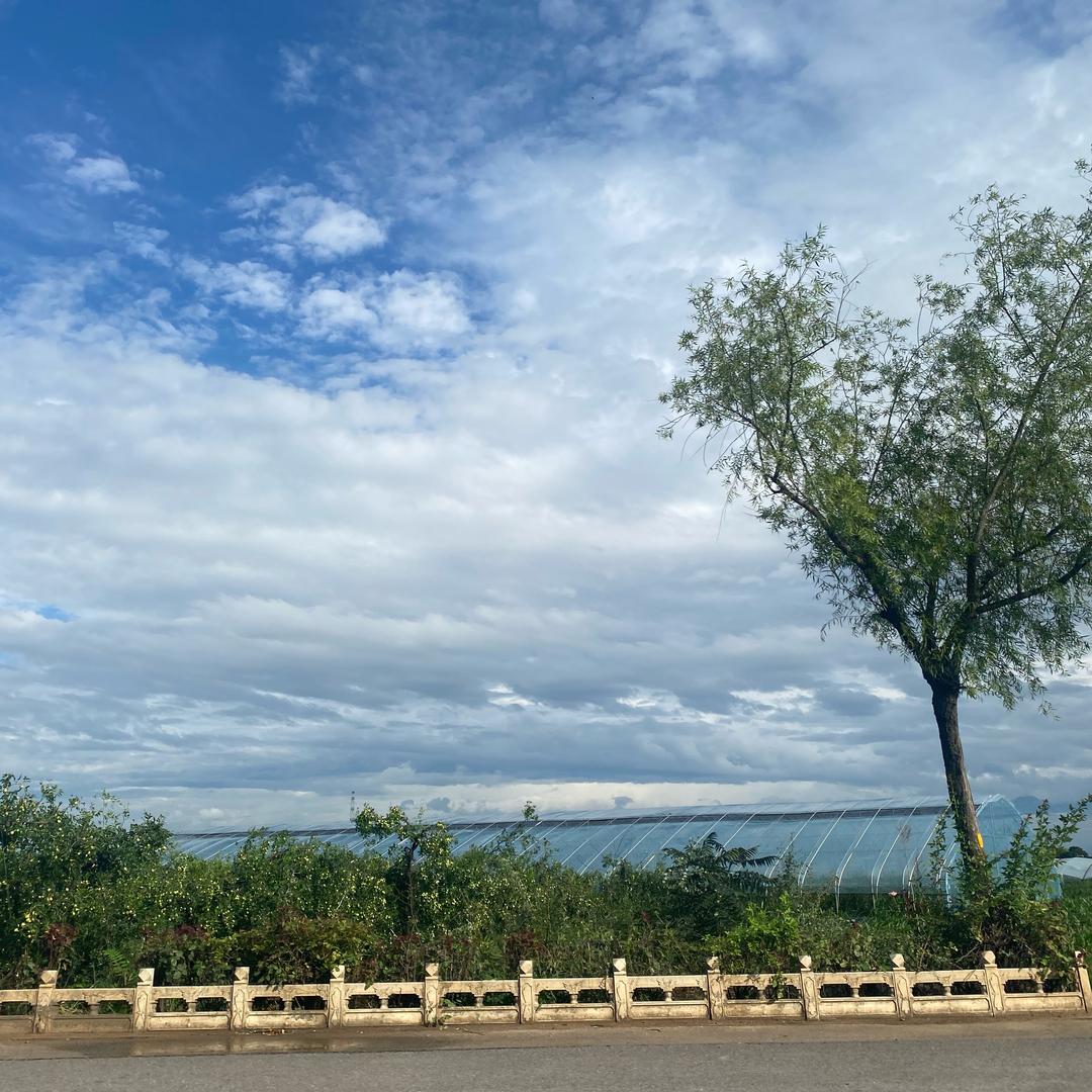 麥，麥，麥，兜儿