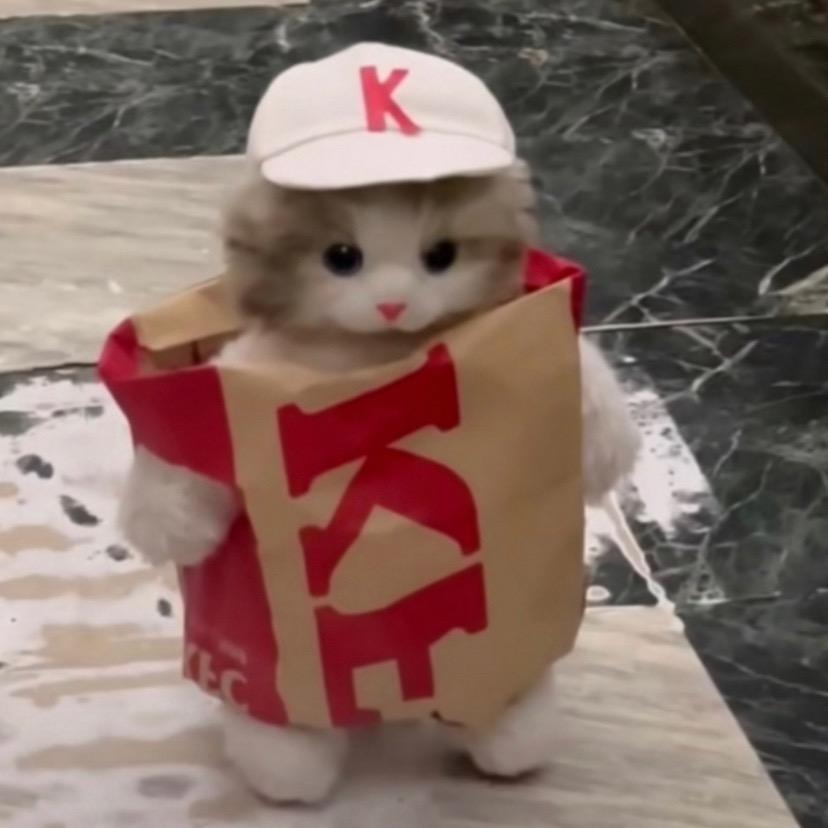 www