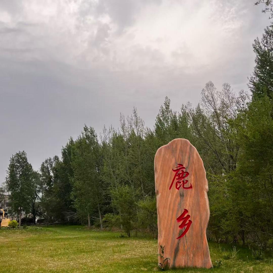 小张同学🦌