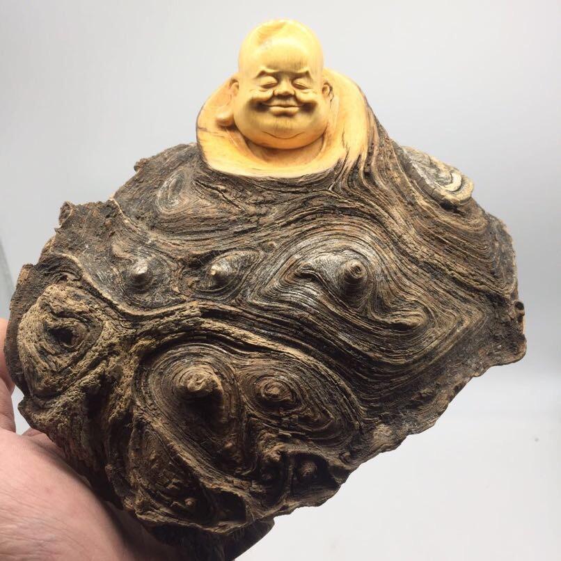 老裘同志