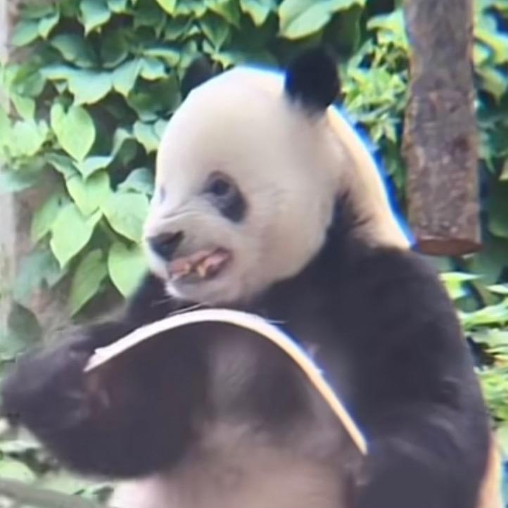 皇上您这是喜脉