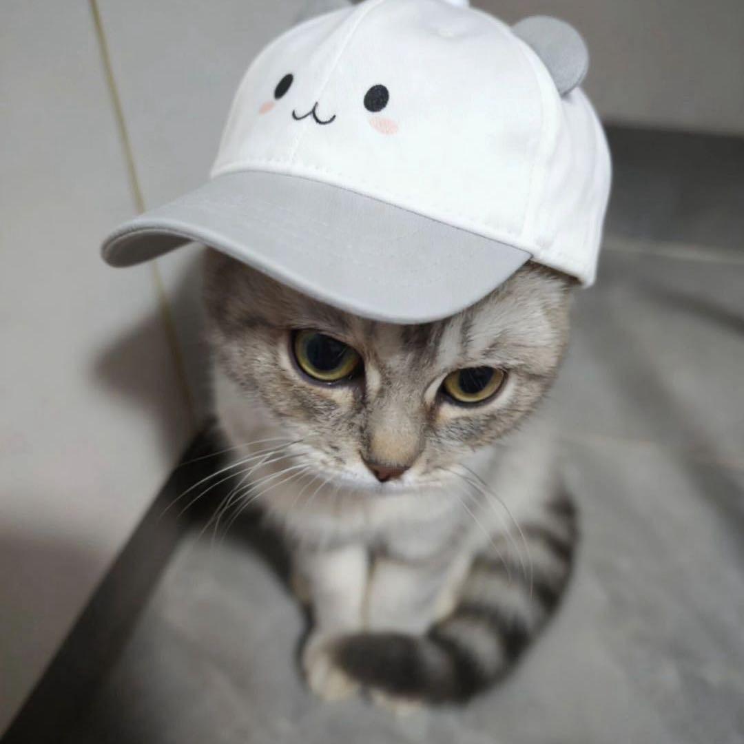 离婚后想清了很多