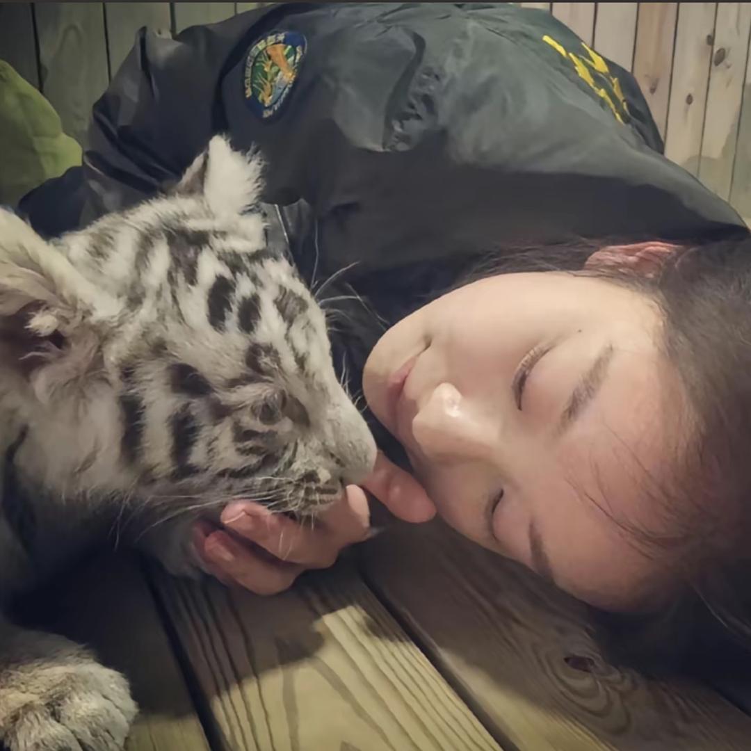 又说这些废话