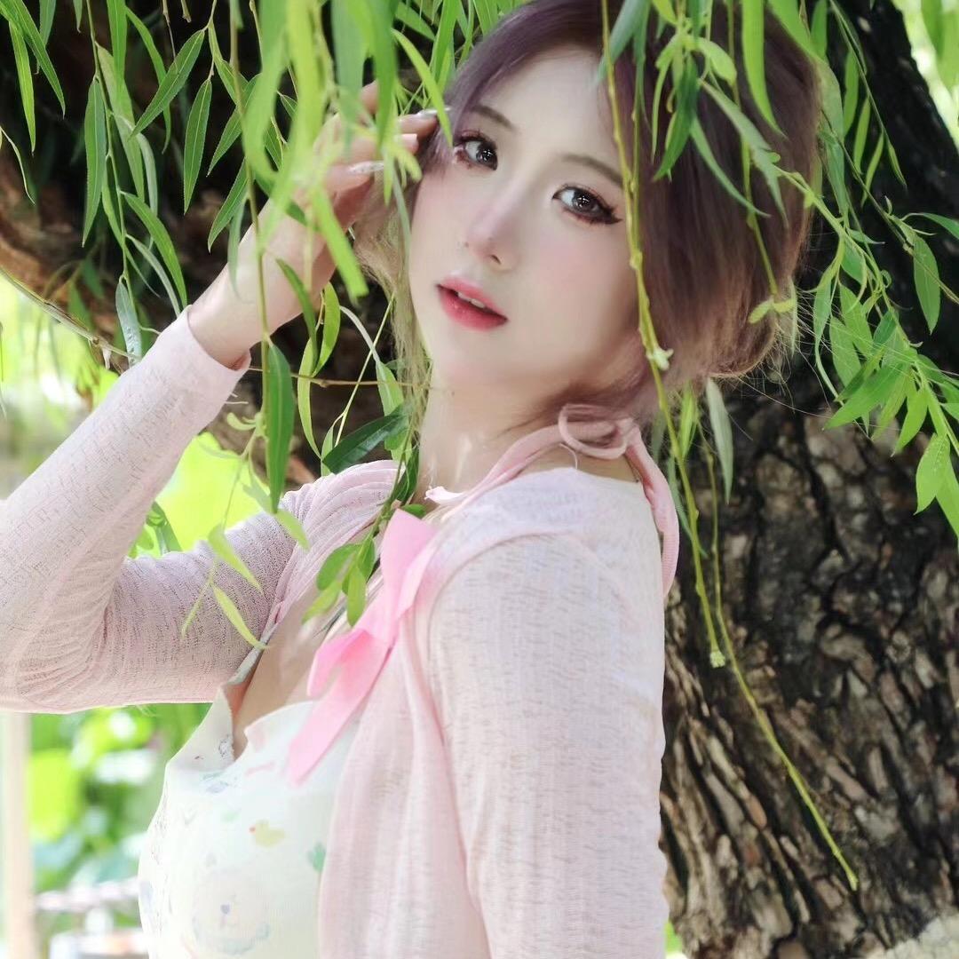 艺淑的书