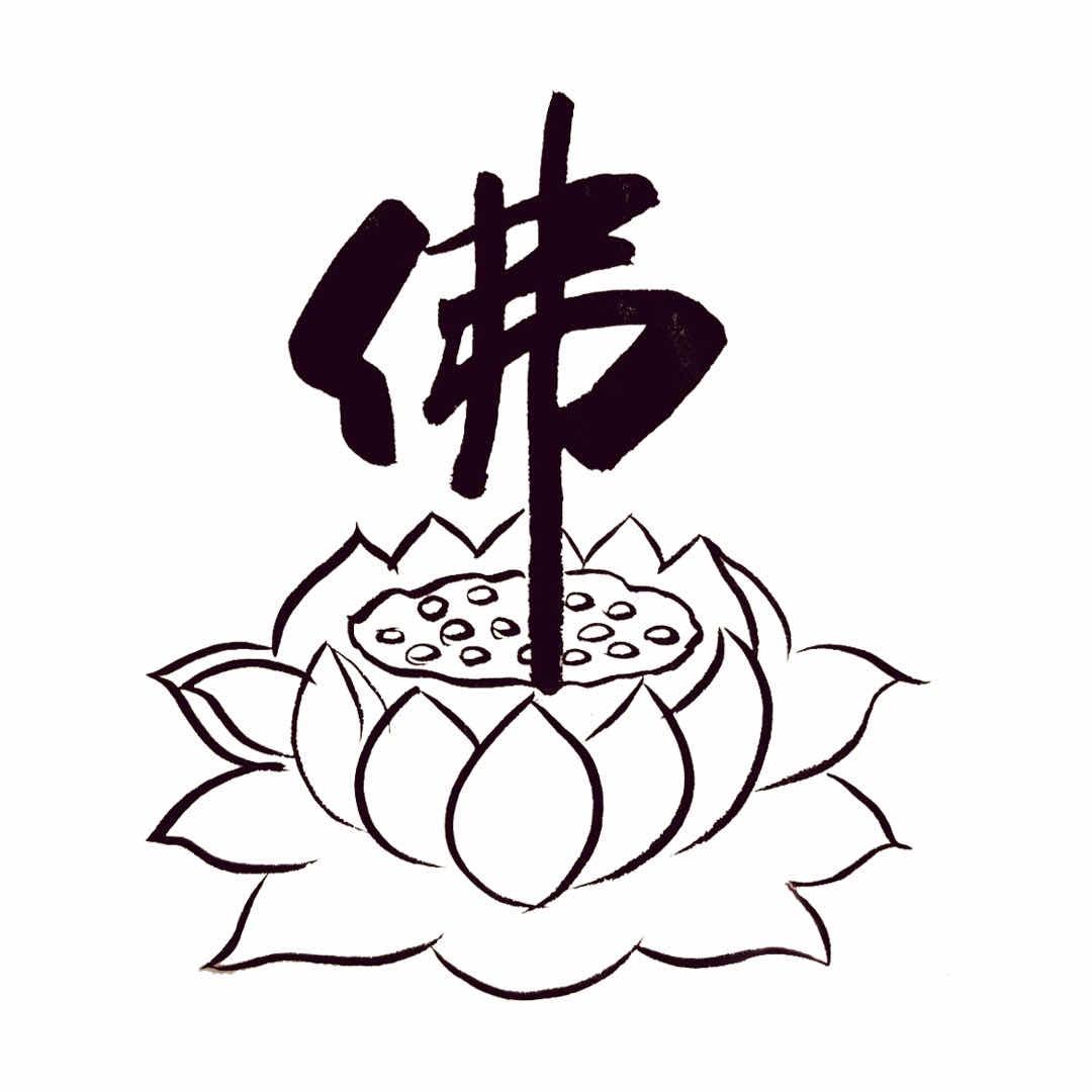 散养土鸡蛋