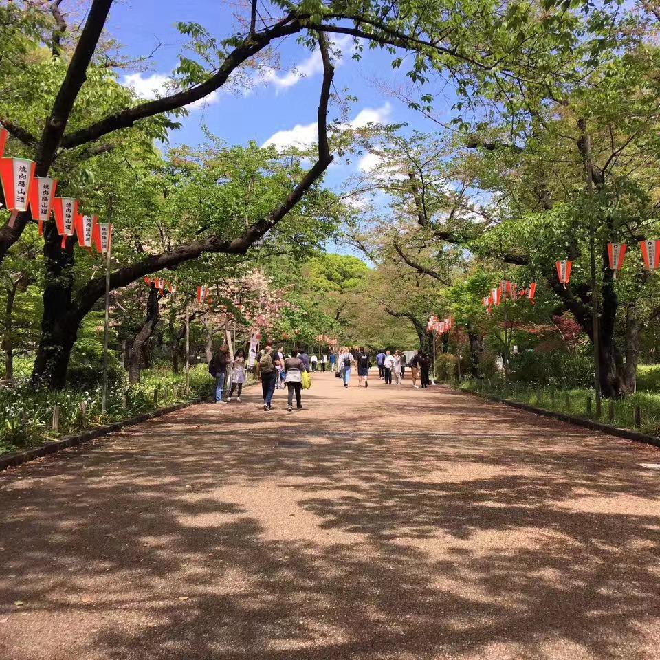 自力而更生