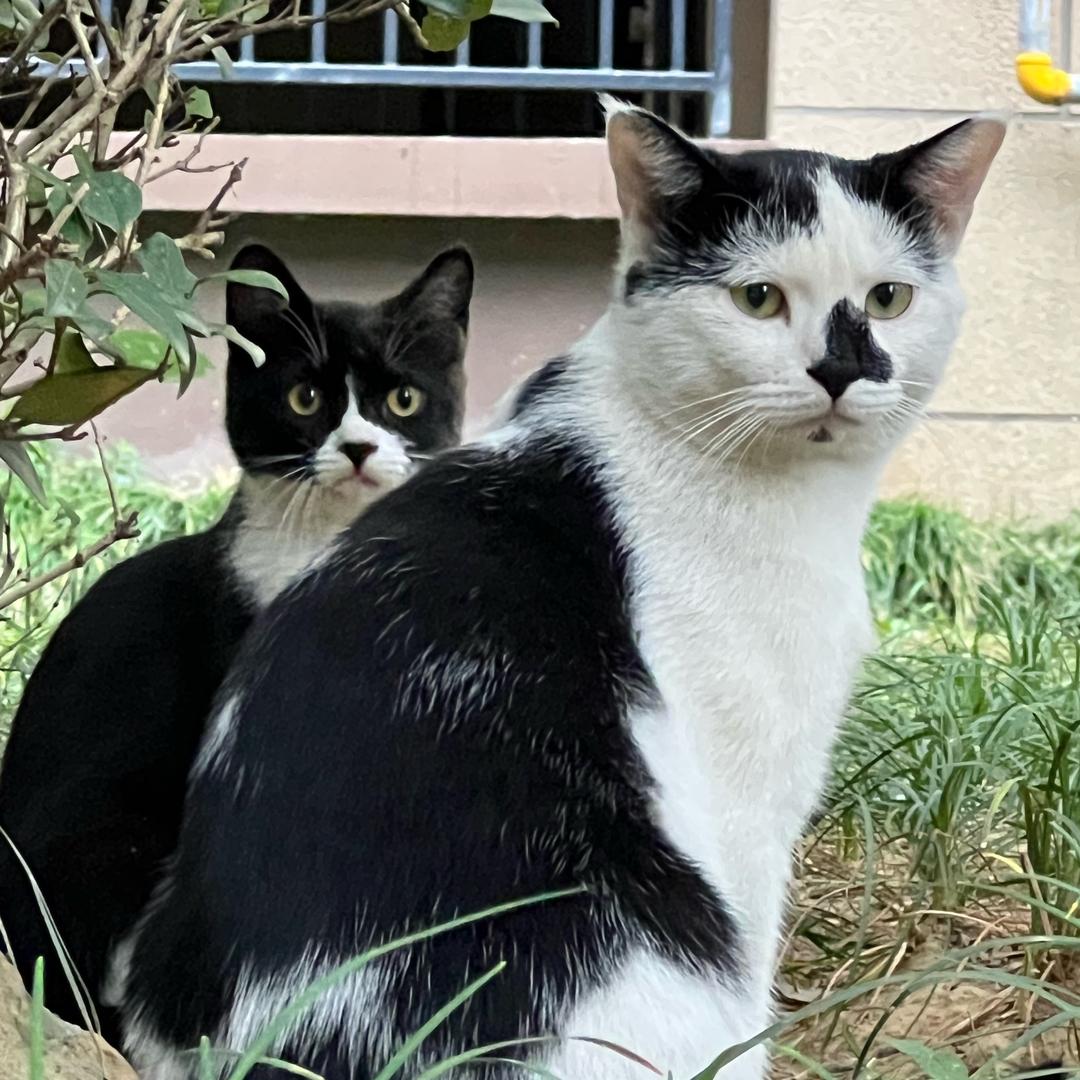 爱去哪儿去哪儿