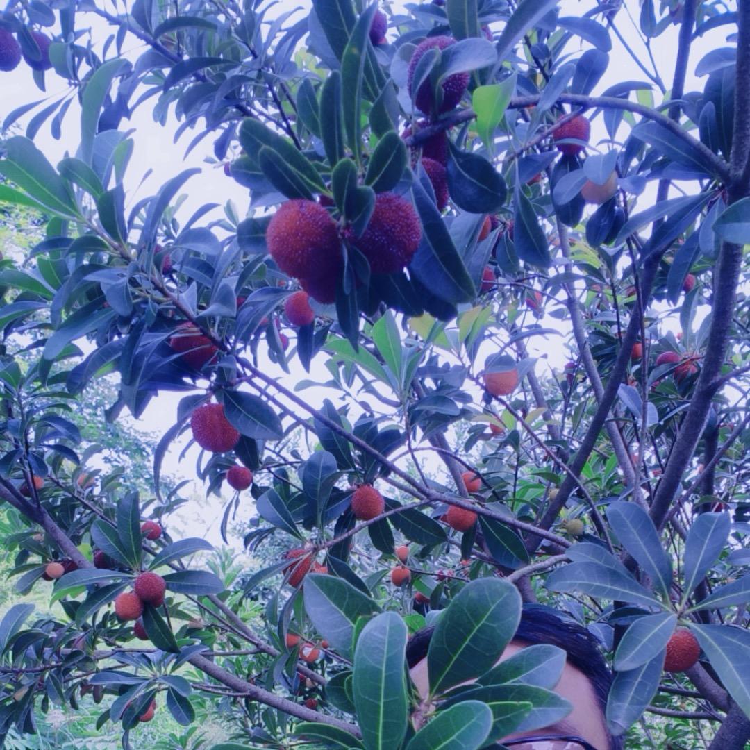 沉默是金🌹？