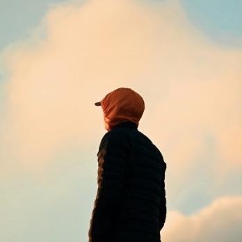 傲慢的露营狗