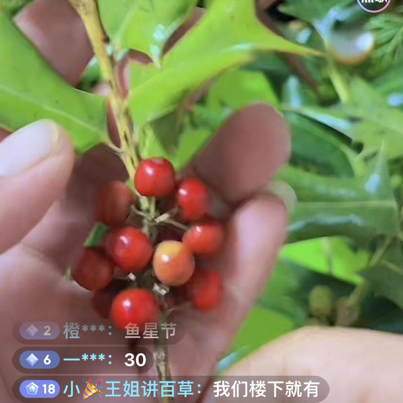 百草堂