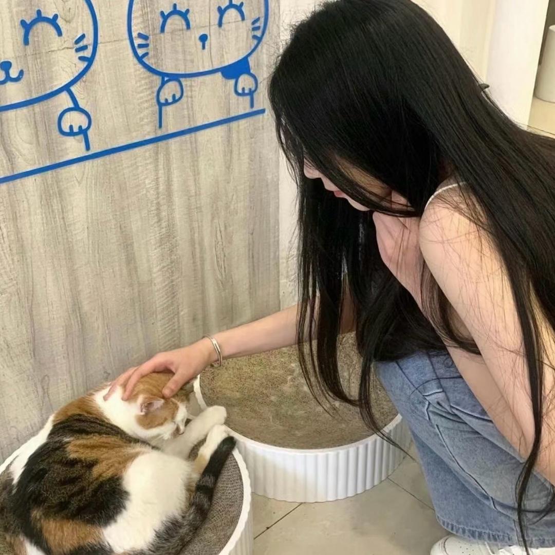 可爱楹楹