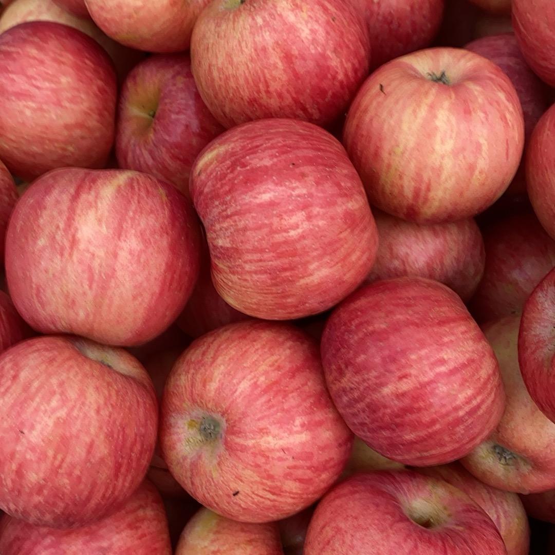 🌈苹果哥🍎🍏🌈