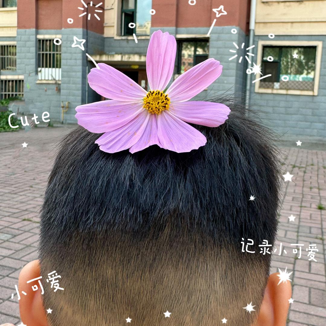 💗微微💗