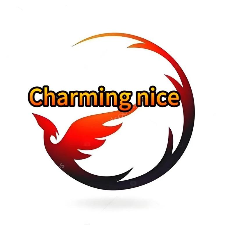Charmingnice饰品优选