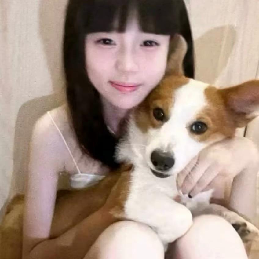 盼盼