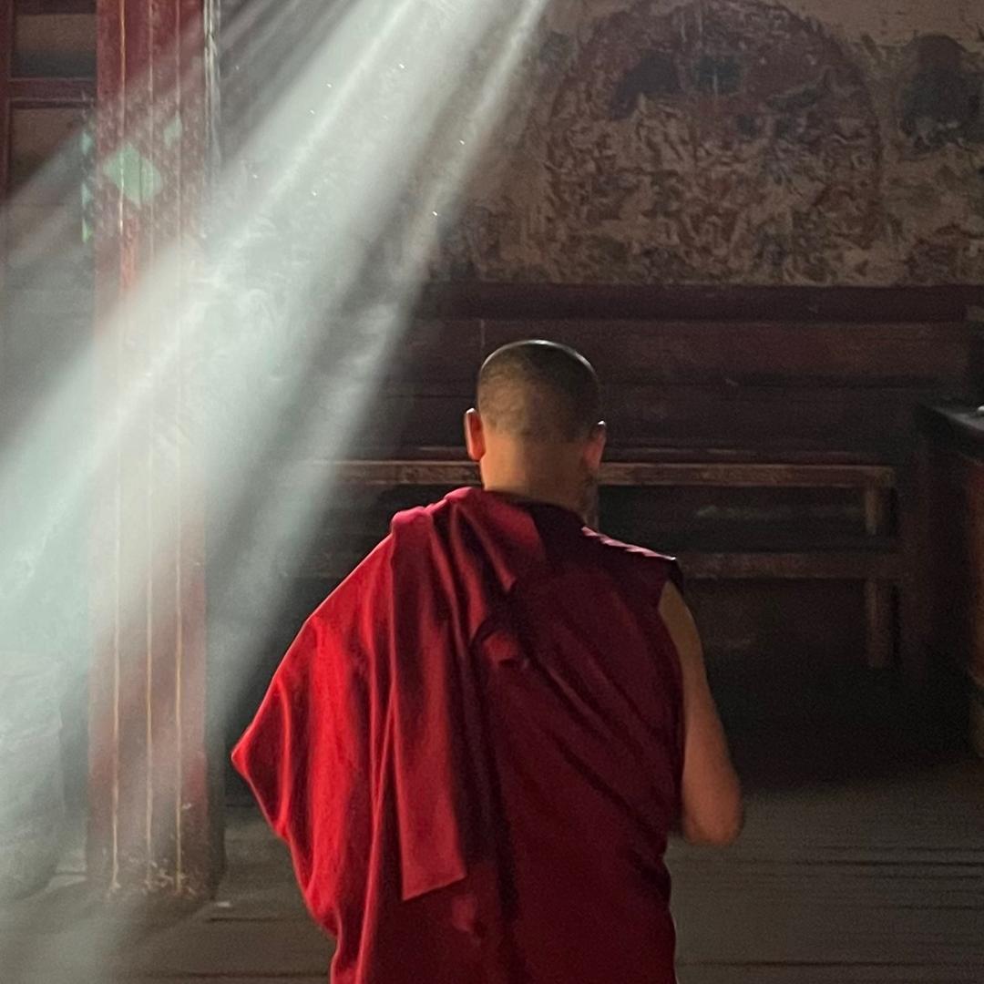 刘青在