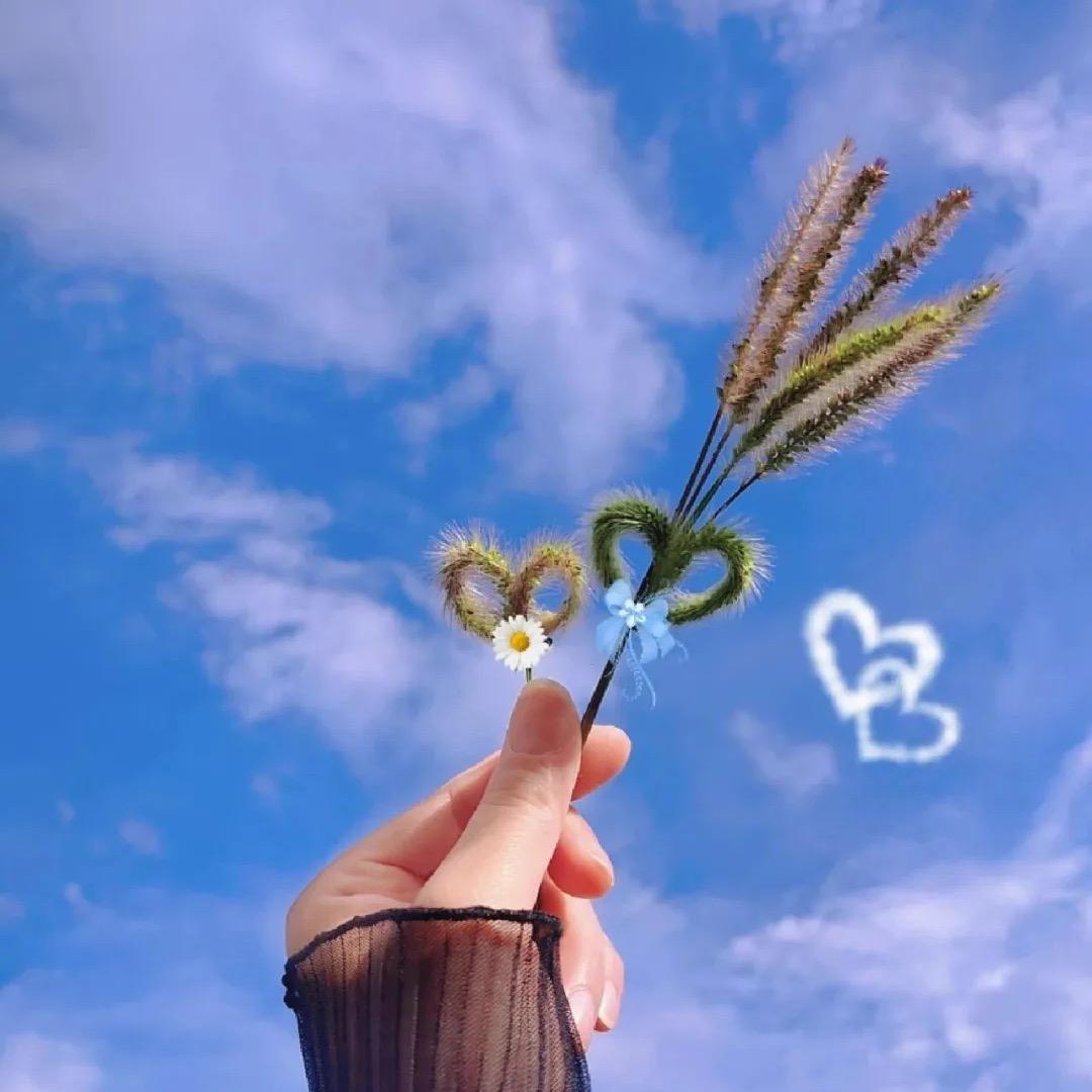 芙澜澜