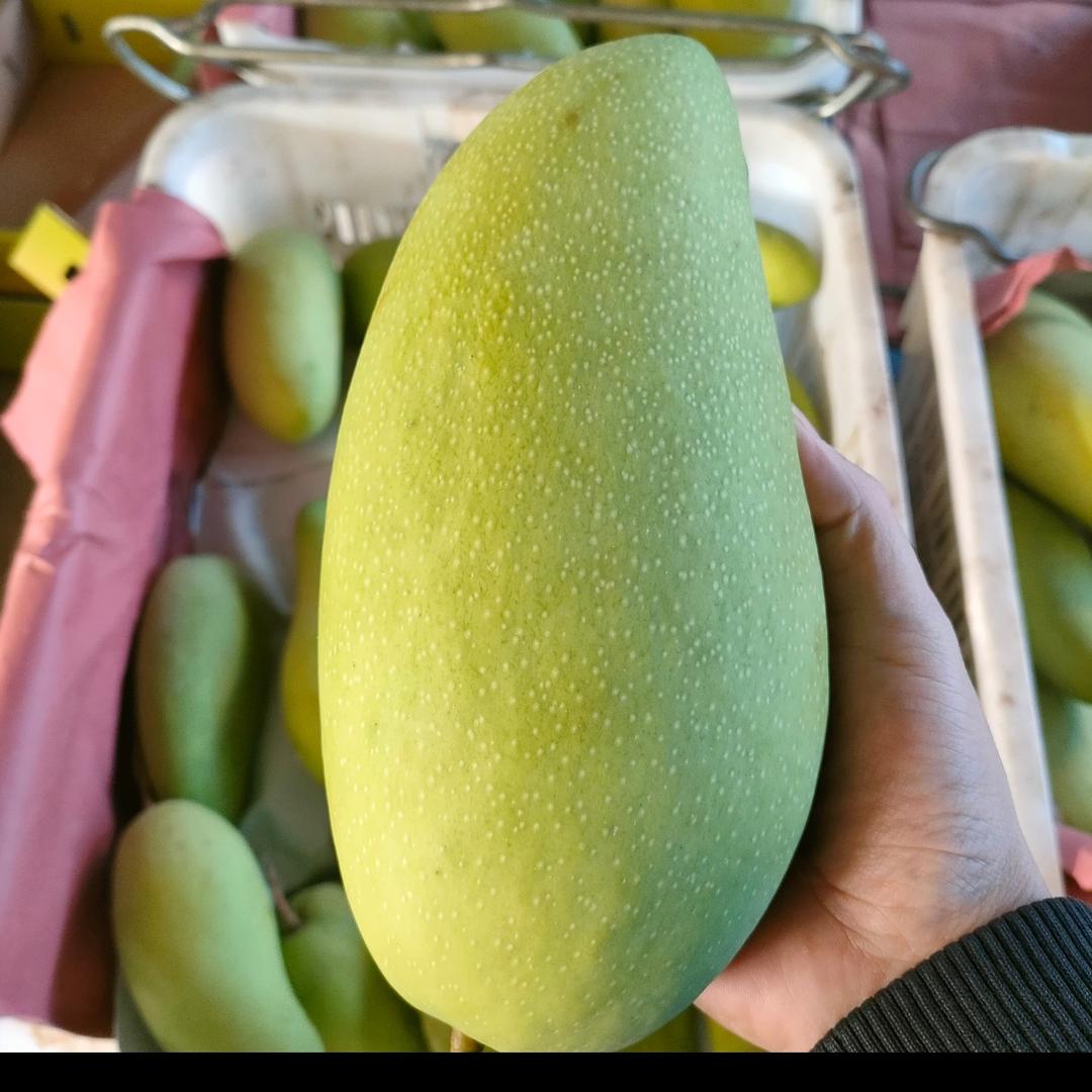 八桂尚品