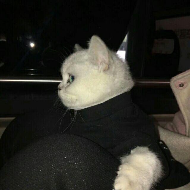 嗯W