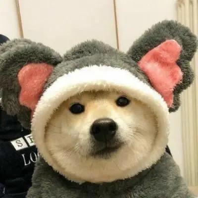 超级无敌霹雳鸡