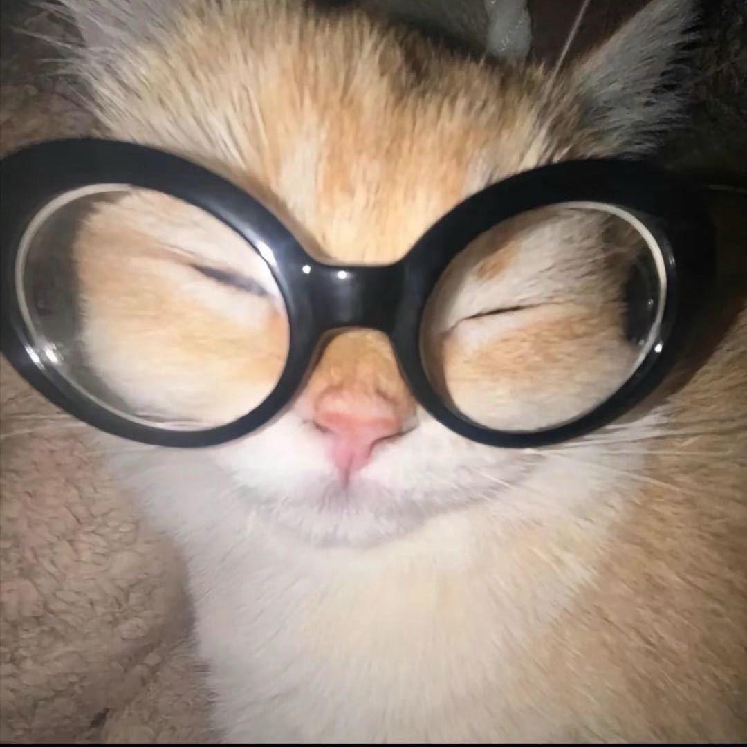 臭美话痨烦人精