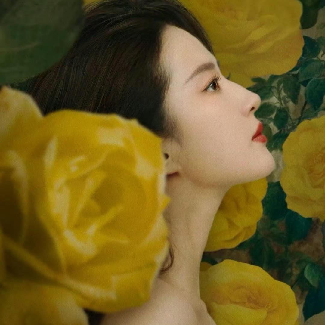 云溪👑