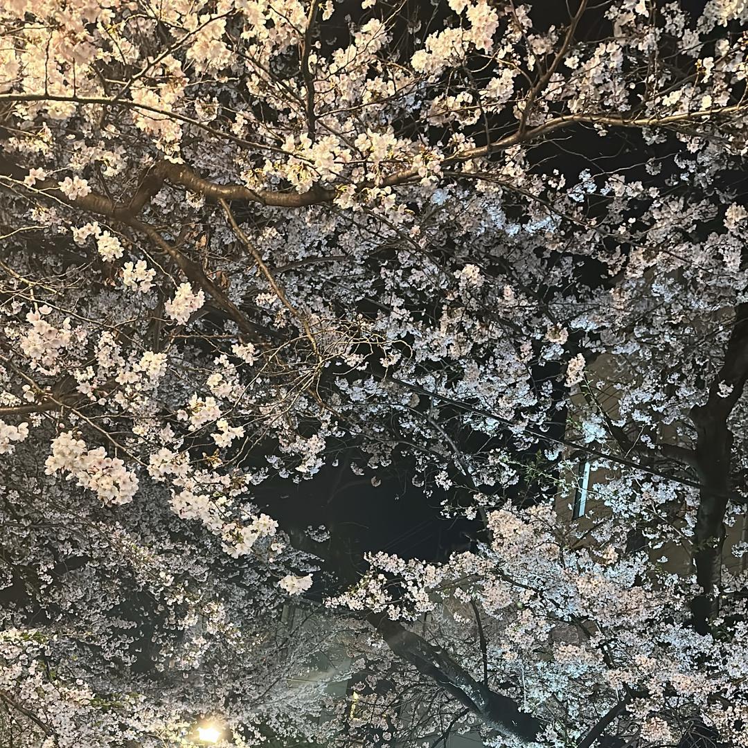 滚瓜烂熟