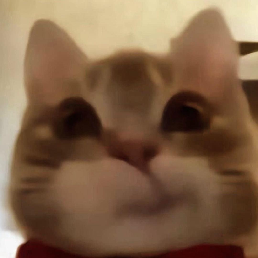 可乐小菲