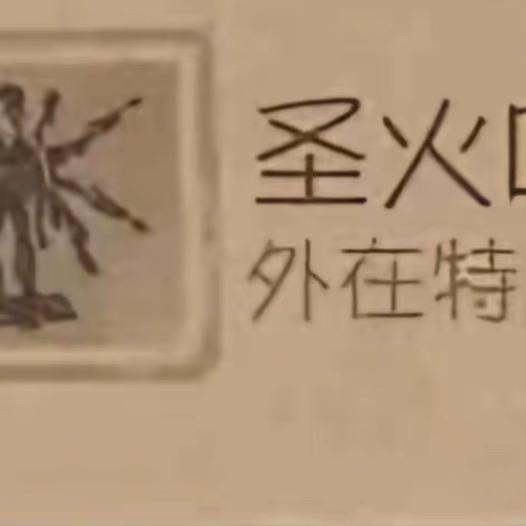 圣火哺乳衣