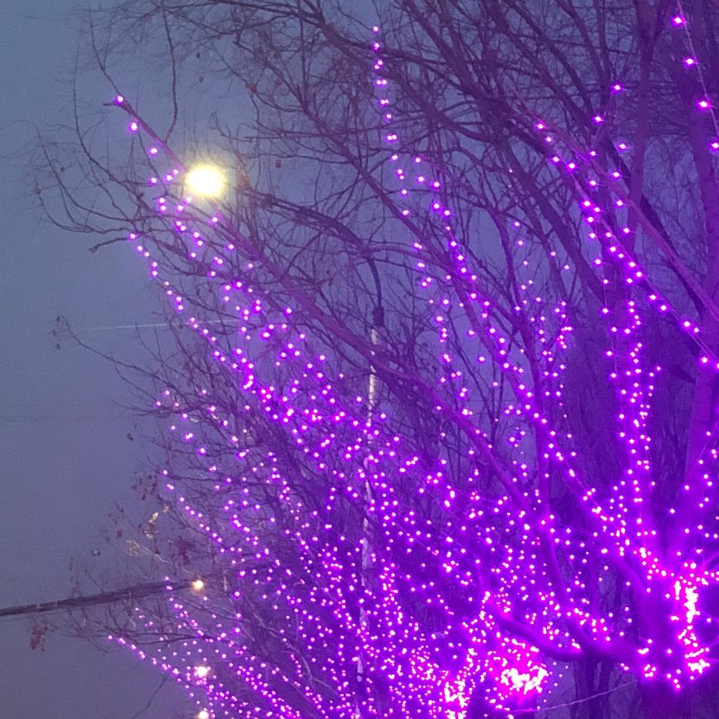 安然🌟无杨💫✨