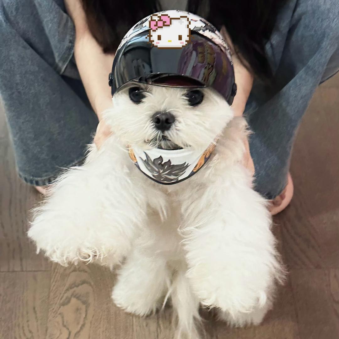 七米眉毛